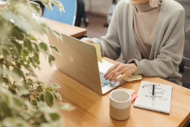 📧 Email Campaigns vs. Flows: What They Are and How They Differ
